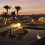 Gallery Thumbnail 30