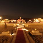 Gallery Thumbnail 11