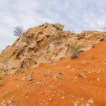 Gallery Thumbnail 3